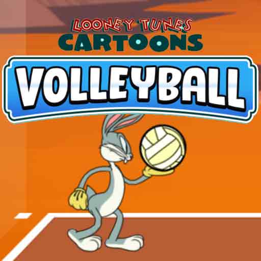 Looney Tunes Cartoons Volleyball